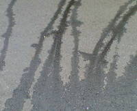 20080620151526.JPG