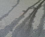 20080620151621.JPG