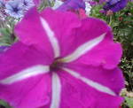 20080620175959.JPG