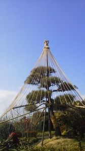 P1000058.JPG