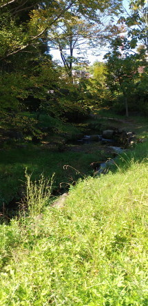 biotope1.JPG