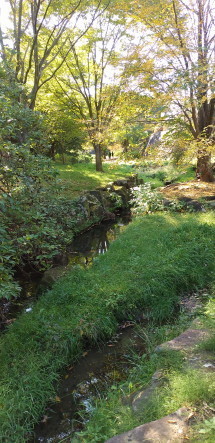 biotope3.JPG