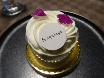 feuquiage 1.JPG
