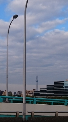 toyosu4.JPG